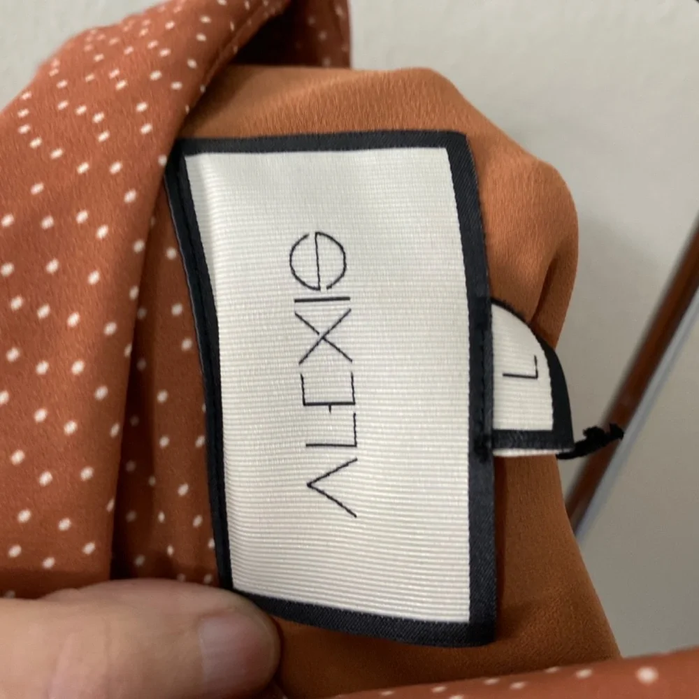 Alexis Genna T-Length Dress - Picture 9 of 12